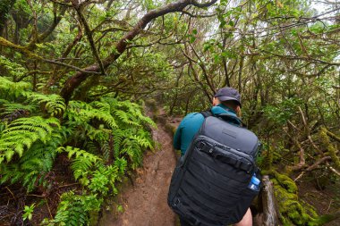 Sırt çantalı ve kameralı doğa fotoğrafçısı Tenerife 'deki Anaga ormanında yürüyüş ve çekim yapıyor.