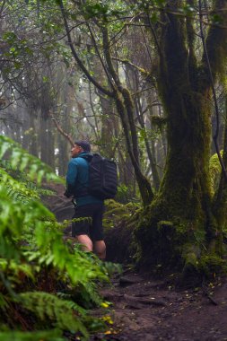 Sırt çantalı ve kameralı doğa fotoğrafçısı Tenerife 'deki Anaga ormanında yürüyüş ve çekim yapıyor.