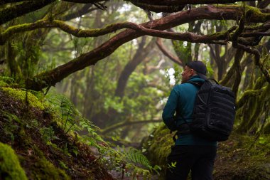Sırt çantalı ve kameralı doğa fotoğrafçısı Tenerife 'deki Anaga ormanında yürüyüş ve çekim yapıyor.