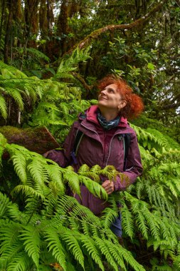 Sırt çantalı mutlu, kızıl saçlı kadın yürüyüşçü Anaga 'daki Laurisilva ormanında büyük eğreltiotlarının arasında duruyor.