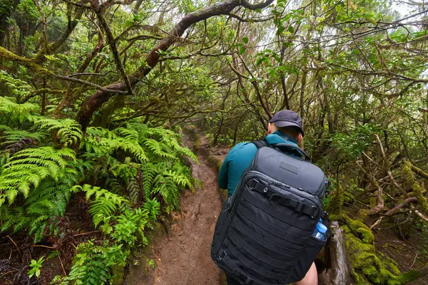 Sırt çantalı ve kameralı doğa fotoğrafçısı Tenerife 'deki Anaga ormanında yürüyüş ve çekim yapıyor.