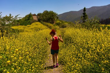 Corona Ormanı, Tenerife 'de açan sarı kır çiçeklerinden oluşan patikada neşeyle yürüyen bir kadın.