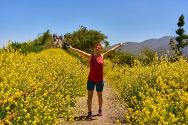 Corona Ormanı, Tenerife 'de açan sarı kır çiçeklerinden oluşan patikada neşeyle yürüyen bir kadın.