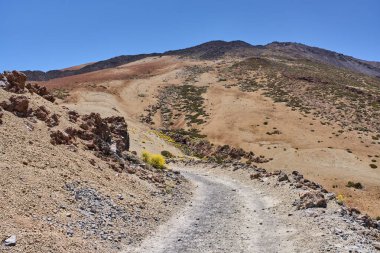 Pico Teide 'ın dik volkanik yamaçlarından yükselen kayalık patika.