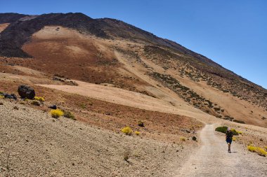 Büyük lav kayaları ve Teide Ulusal Parkı 'ndaki çorak yamaçlarla çevrili tozlu bir volkanik yolda tek başına yürüyüş yapan bir kadın.