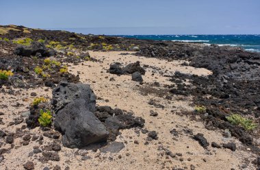 Malpais de Guimar 'da Atlantik kıyısı yakınlarında dağınık bitki örtüsü ve kumlu bölgeleri olan volkanik kıyı arazisi. 