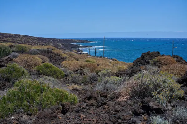 Malpais de Guimar, Tenerife 'de Atlantik Okyanusu' na bakan volkanik çalı ve kaktüsleri ile volkanik kıyı yamacı