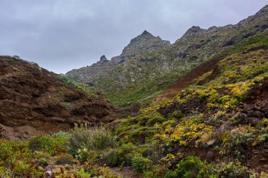 Tenerife 'nin Anaga dağlarındaki bulutlarla kaplı dağ ve yemyeşil volkanik vadi