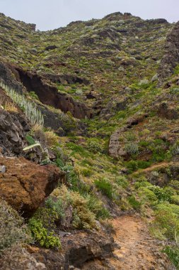 Anaga, Tenerife 'deki Barranco del Rio geçidi, volkanik yamaçlar ve bulutlu gökyüzü altında çeşitli subtropikal bitki örtüsüyle