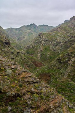 Anaga, Tenerife 'deki Barranco del Rio geçidi, volkanik yamaçlar ve bulutlu gökyüzü altında çeşitli subtropikal bitki örtüsüyle