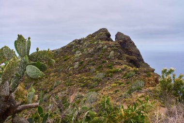 Anaga, Tenerife 'deki Roque Dos Hermanos' un volkanik kaya oluşumu dağınık bitki örtüsüyle kaplanmış gökyüzü altında