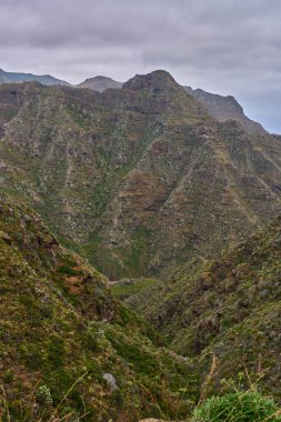 Anaga, Tenerife 'deki Barranco del Rio geçidi, volkanik yamaçlar ve bulutlu gökyüzü altında çeşitli subtropikal bitki örtüsüyle