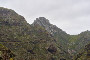 Tenerife 'nin Anaga bölgesindeki bulutlu gökyüzünün altında tropikal bitki örtüsüyle kaplı volkanik dağ sırtı ve vadi