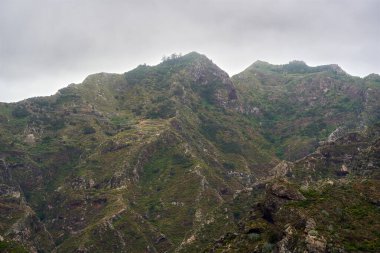 Teraslı yeşil yamaçlar ve sis kaplı uçurumlar Tenerife adasındaki sarp volkanik bir arazide yükseliyor.