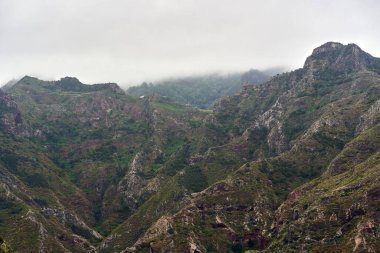 Anaga, Tenerife 'deki Barranco del Rio geçidi, volkanik yamaçlar ve bulutlu gökyüzü altında çeşitli subtropikal bitki örtüsüyle