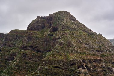 Anaga, Tenerife 'deki volkanik yamaçlar, kırmızı kaya oyukları ve engebeli arazide dağılmış Euphorbia kanarya bitkileri.