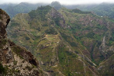 Anaga, Tenerife 'deki Barranco del Rio geçidi, volkanik yamaçlar ve bulutlu gökyüzü altında çeşitli subtropikal bitki örtüsüyle