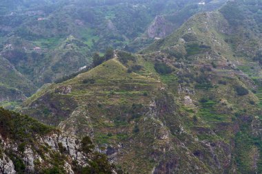 Anaga 'da volkanik dağ sıraları. Yerleşik bitkiler ve bulutlu bir gökyüzünün altındaki aşınmış kayalıklar.