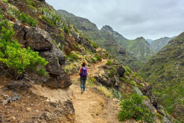 Tenerife 'de volkanik bitkiler ve yeşil yamaçlarla çevrili kayalık bir dağ yolunda tek başına yürüyüş yapan bir kadın.