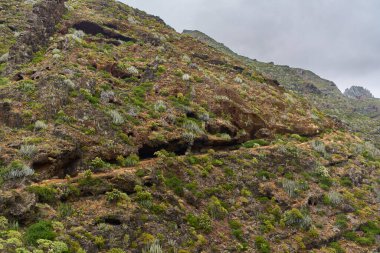 Anaga Tenerife 'deki aşınmış uçurumun aşağısında dönen volkanik yol daralıyor.