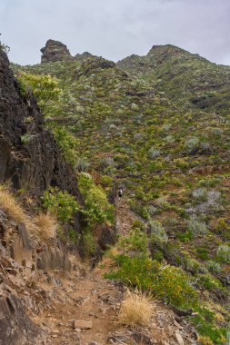Anaga Tenerife 'deki aşınmış uçurumun aşağısında dönen volkanik yol daralıyor.