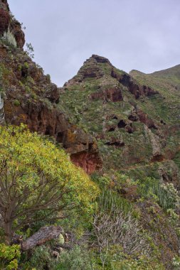Anaga 'daki sarp volkanik dağlar, bitkisel bitki örtüsü ve doğa turizmini destekleyen manzaralı patikalar.