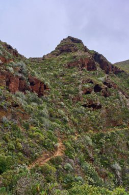 Anaga 'daki sarp volkanik dağlar, bitkisel bitki örtüsü ve doğa turizmini destekleyen manzaralı patikalar.