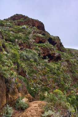 Anaga Tenerife 'deki aşınmış uçurumun aşağısında dönen volkanik yol daralıyor.