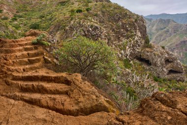 Erotik volkanik basamaklar Anaga 'nın engebeli tepelerinde sarmalanmış patikalara oyulmuş.