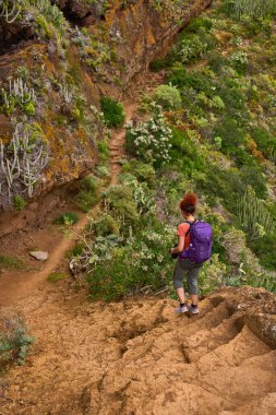 Dişi yürüyüşçü, Anaga, Tenerife 'deki kurak ve yemyeşil arazide dik volkanik yoldan iniyor.