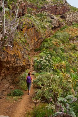 Dişi yürüyüşçü, Anaga, Tenerife 'deki kurak ve yemyeşil arazide dik volkanik yoldan iniyor.