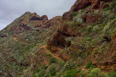 Anaga 'daki sarp volkanik dağlar, bitkisel bitki örtüsü ve doğa turizmini destekleyen manzaralı patikalar.
