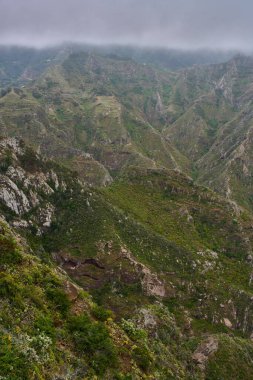 Anaga 'daki dramatik tepe, çeşitli bitkilerle ve dik volkanik yamaçlarla kaplanmış sisin içinde.