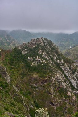 Rocky ormanı, Roque de los Pinos 'un zirvesi. Chinamada yakınlarındaki sisli Anaga dağlarının yukarısında.