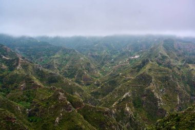 Anaga 'daki dramatik tepe, çeşitli bitkilerle ve dik volkanik yamaçlarla kaplanmış sisin içinde.