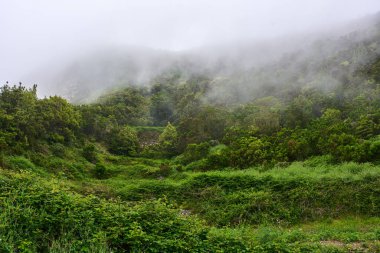Anaga Tenerife 'de sisli bir volkanik yamaçta taş duvarlı tarımsal teraslar