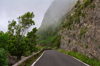 Puslu Anaga bölgesindeki yemyeşil bitki örtüsü ve volkanik kayalıklardan geçen dağ yolu.
