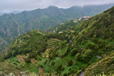 Anaga 'nın yeşil yamaçlarında patates tarımı için kullanılan terasları olan Las Carboneras köyü.