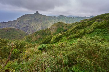 Bitkilerle kaplı Anaga volkanik dağları ve bulutlu gökyüzünün altında Roque de Taborno 'nun zirvesi