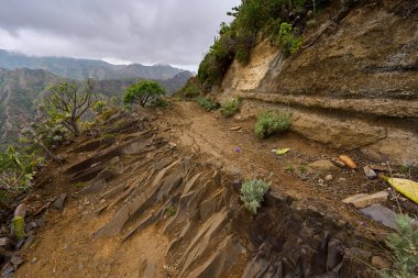 Anaga Tenerife 'deki aşınmış uçurumun aşağısında dönen volkanik yol daralıyor.