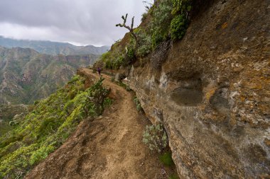 Anaga Tenerife 'deki aşınmış uçurumun aşağısında dönen volkanik yol daralıyor.