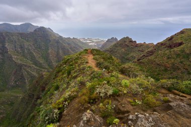 Anaga Tenerife 'deki aşınmış uçurumun aşağısında dönen volkanik yol daralıyor.