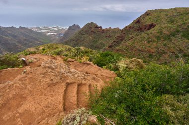 Erotik volkanik basamaklar Anaga 'nın engebeli tepelerinde sarmalanmış patikalara oyulmuş.