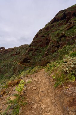 Anaga Tenerife 'deki aşınmış uçurumun aşağısında dönen volkanik yol daralıyor.