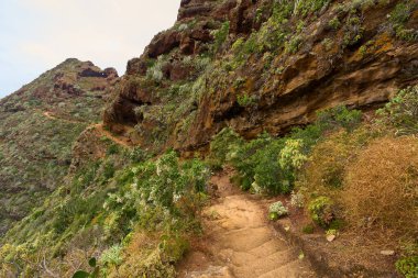 Erotik volkanik basamaklar Anaga 'nın engebeli tepelerinde sarmalanmış patikalara oyulmuş.