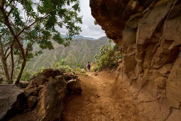 Kızıl saçlı kadın Dar volkanik patikada yürüyor Anaga Tenerife 'deki aşınmış uçurumun aşağısında dönüyor.