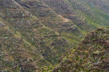 Anaga 'daki sarp volkanik dağlar, bitkisel bitki örtüsü ve doğa turizmini destekleyen manzaralı patikalar.