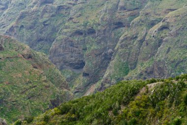 Anaga, Tenerife 'de görünür mağaraları ve katmanlı volkanik kayaları olan aşınmış kayalıklar.