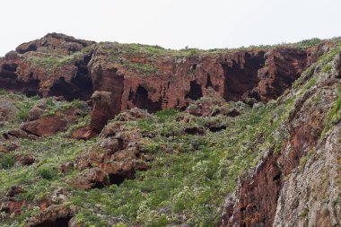 Çoklu mağaraları ve Tenerife 'de dik bir yamaçta yoğun bitkileri olan aşınmış kırmızı volkanik kayalıklar.