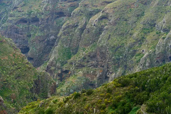 Anaga, Tenerife 'de görünür mağaraları ve katmanlı volkanik kayaları olan aşınmış kayalıklar.
